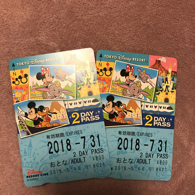 Disney(ディズニー)の7月末まで！ディズニーリゾートライン チケット 2枚 チケットの施設利用券(遊園地/テーマパーク)の商品写真