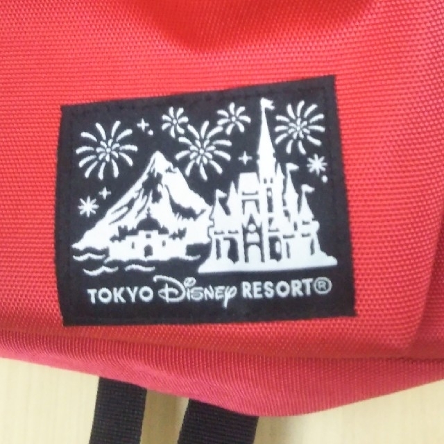 Disney(ディズニー)の美品！ディズニーリゾート購入★リュック レディースのバッグ(リュック/バックパック)の商品写真