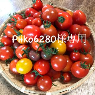 Piiko6280様専用ミニトマトミックス2kg(野菜)