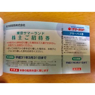 サマーランド株主優待券3冊セット　※20日21時迄はな様優先、それ以降たぬきち様(プール)