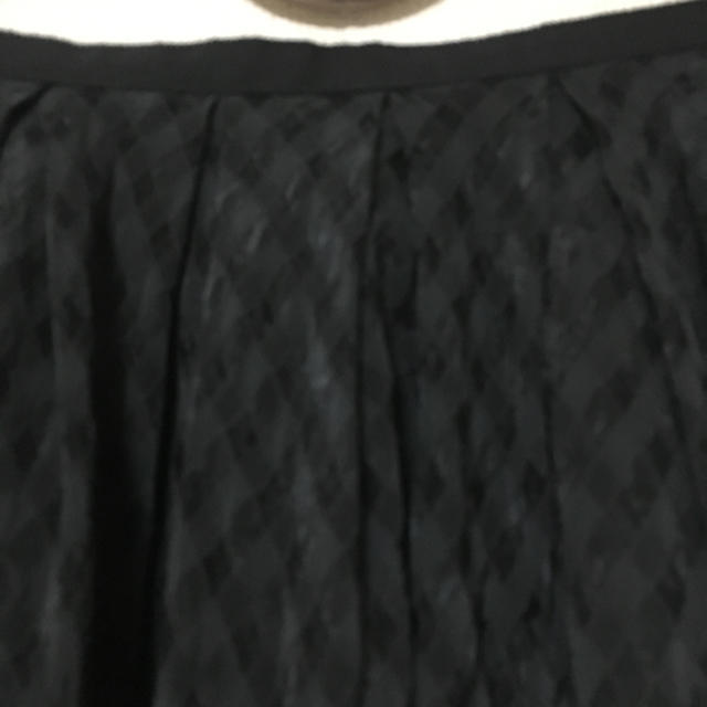 JUSGLITTY(ジャスグリッティー)のジャスグリッティー  オーガンジー素材のチェック柄フレアースカート  1 レディースのスカート(ひざ丈スカート)の商品写真