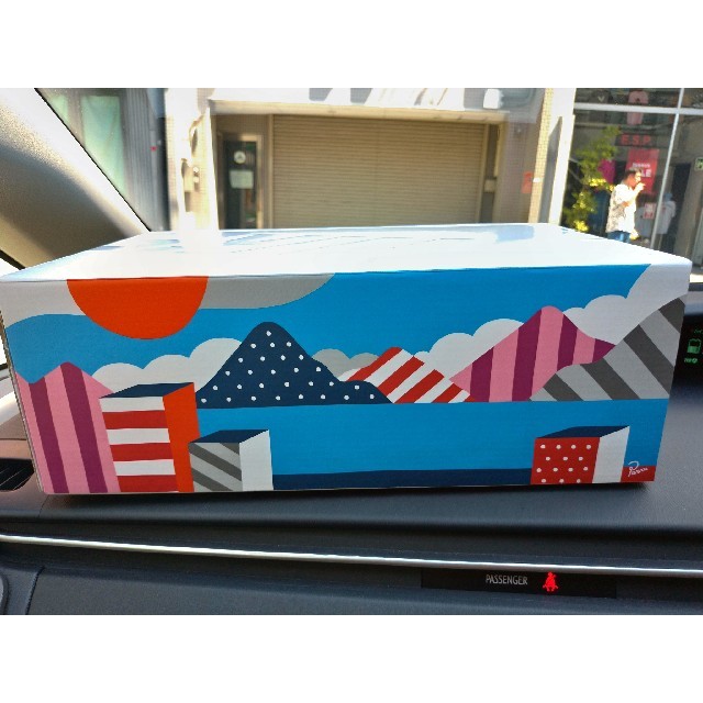 26cm ナイキ×パラ　NIKE×PARRA