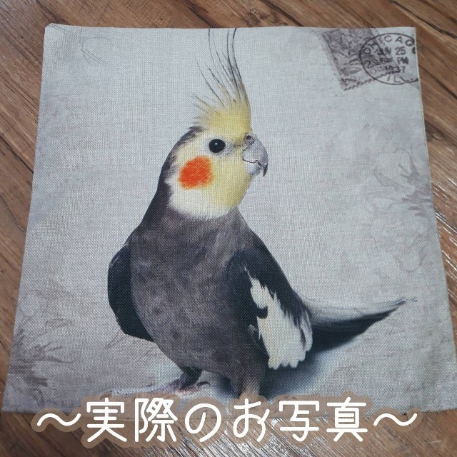 新品 鳥好きにはたまらない オカメインコ インポート クッションカバー の通販 By めんま003 S Shop ラクマ