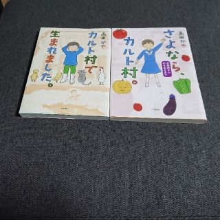 ブンゲイシュンジュウ(文藝春秋)のカルト村で生まれました・さよならカルト村(青年漫画)