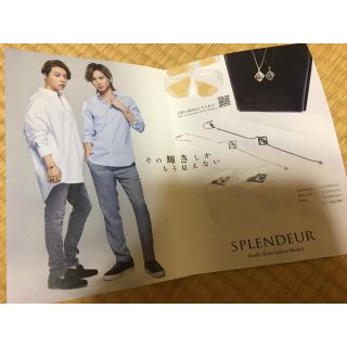 キンキキッズ(KinKi Kids)の店頭用 KinKi Kids ビジュード2018 リーフレット(アイドルグッズ)