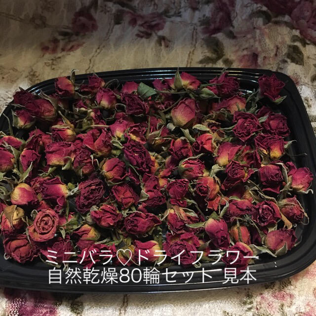 ミニバラ ドライフラワー★D自然乾燥80輪セット★ミニ薔薇♡Sakura様専用★ ハンドメイドのフラワー/ガーデン(ドライフラワー)の商品写真