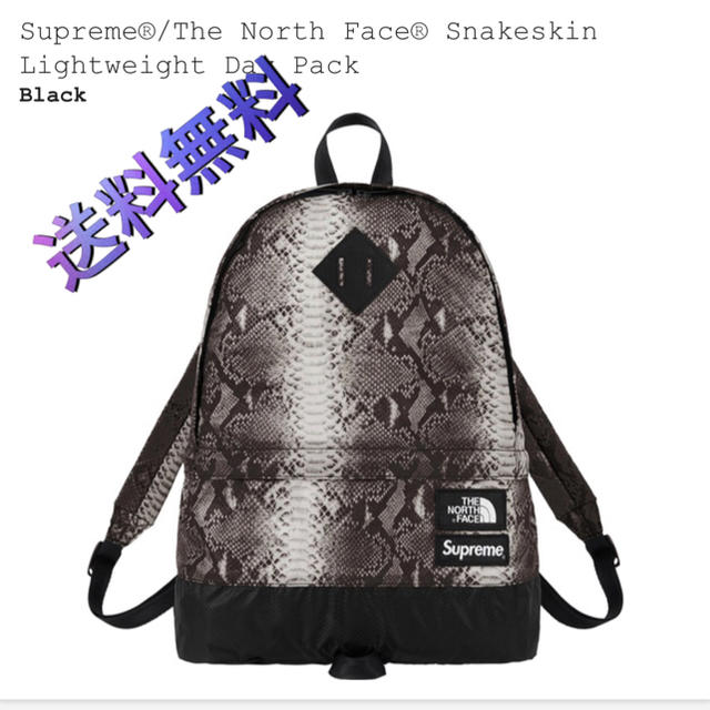 Supreme(シュプリーム)の込 north face day pack supreme ノース  メンズのバッグ(バッグパック/リュック)の商品写真