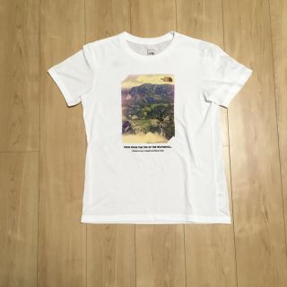 ザノースフェイス(THE NORTH FACE)のパイタン様専用ノースフェイス tシャツ(Tシャツ/カットソー(半袖/袖なし))