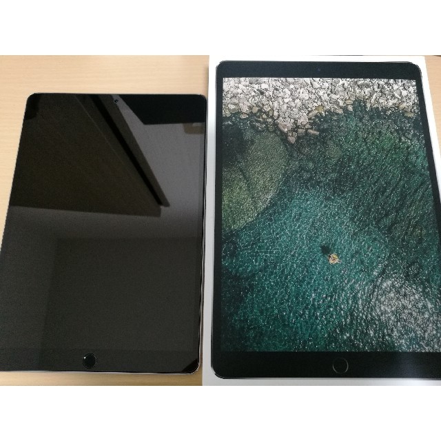 iPad mini 第5世代 Cellular 64GB au simﾛｯｸ解除