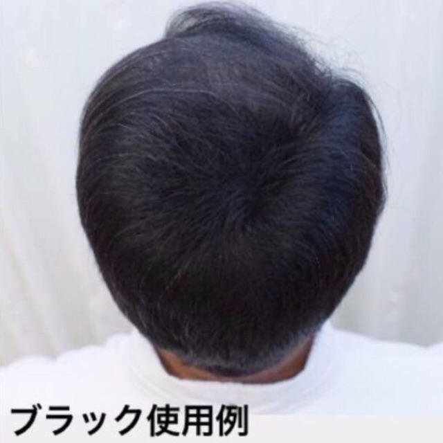 マイクロヘアーパウダー  薄毛 増毛 はえぎわ 分け目 白髪隠し ハゲかくし コスメ/美容のヘアケア/スタイリング(ヘアケア)の商品写真