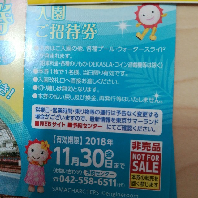 東京サマーランド入園ご招待券2枚 チケットの施設利用券(プール)の商品写真