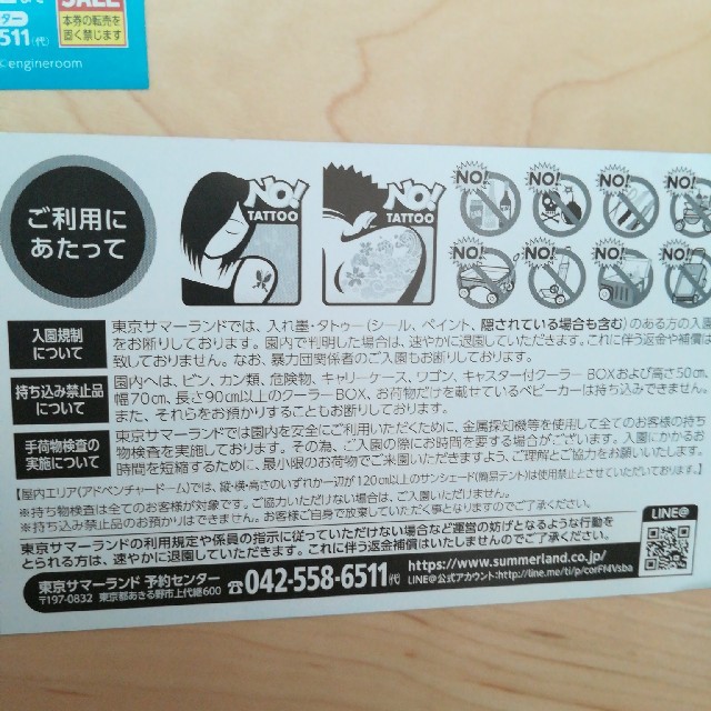 東京サマーランド入園ご招待券2枚 チケットの施設利用券(プール)の商品写真