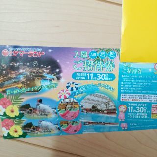 東京サマーランド入園ご招待券2枚(プール)