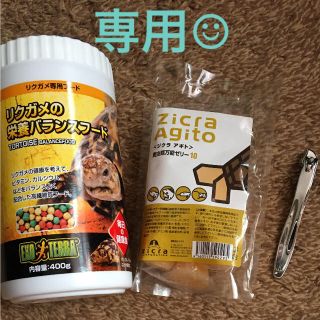 専用☺︎リクガメ飼育セット(爬虫類/両生類用品)