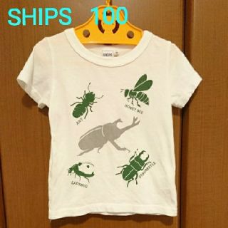 シップスキッズ(SHIPS KIDS)のSHIPS 昆虫柄Tシャツ 100サイズ(Tシャツ/カットソー)