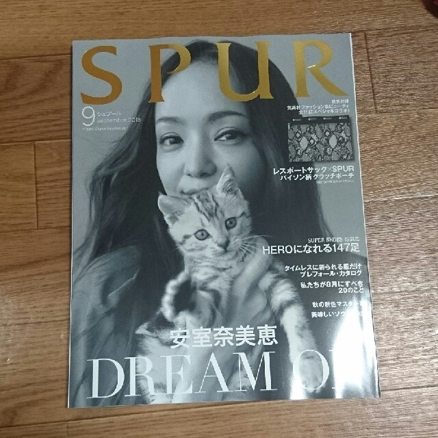 集英社(シュウエイシャ)の未読 シュプール 9月号 エンタメ/ホビーの雑誌(ファッション)の商品写真