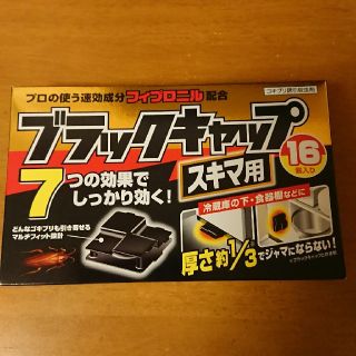 アースセイヤク(アース製薬)のブラックキャップ スキマ用 16個入り(その他)