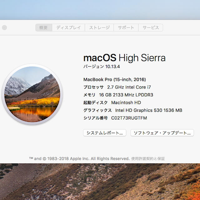Mac (Apple)(マック)の<まきや様専用>MacBookPro 2016 15インチ Touchi Bar スマホ/家電/カメラのPC/タブレット(ノートPC)の商品写真