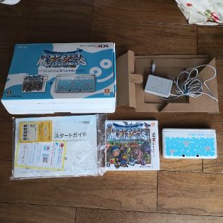 ニンテンドー3DS(ニンテンドー3DS)のそーたん様専用  任天堂 3DS テリーのワンダーランド スペシャルパック(家庭用ゲーム機本体)