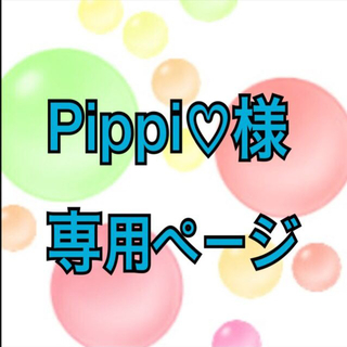 Pippi♡様 専用ページ(その他)