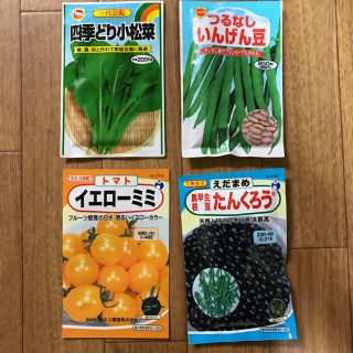 野菜の種(野菜)