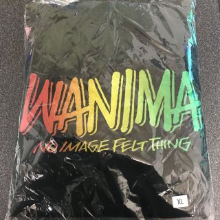 ワニマ(WANIMA)のWANIMA Everybody!! Tour 2018 黒パーカー XL(ミュージシャン)