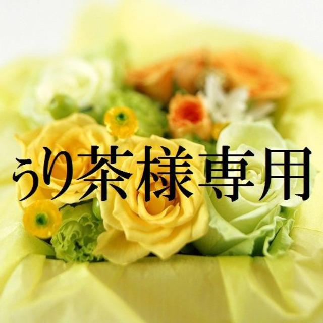ンドしてい⑮ モリモリちゃん様専用 お米 令和2年 愛媛県産