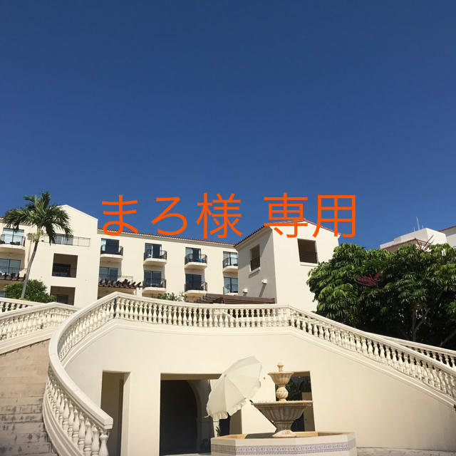 まろ様専用 8/1 決済分 www.duniasapi.com