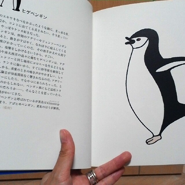 ペンギンのabcの通販 By しみじみしじみか ラクマ