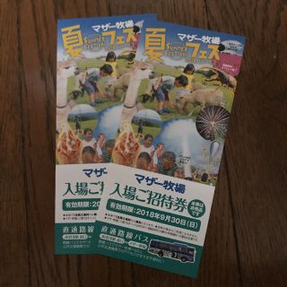 【2枚セット】マザー牧場 入場招待券(遊園地/テーマパーク)