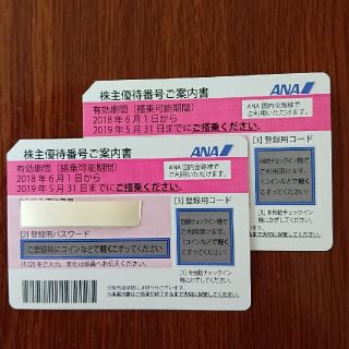 エーエヌエー(ゼンニッポンクウユ)(ANA(全日本空輸))のANA株主優待券(その他)