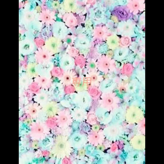 専用出品 その他のその他(その他)の商品写真