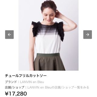 ランバンオンブルー(LANVIN en Bleu)のチュールフリルカットソー LANVIN en Bleu(Tシャツ(半袖/袖なし))