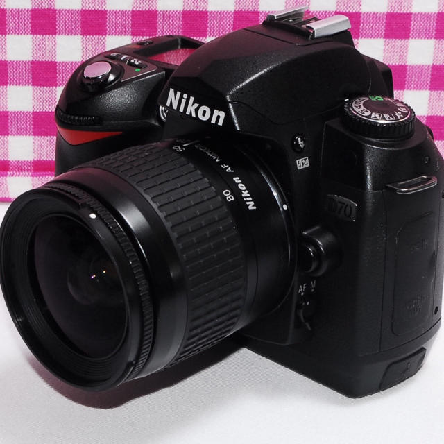 ⭐相棒と出掛けよう⭐Nikon D70 レンズキット・極美品・安心保証