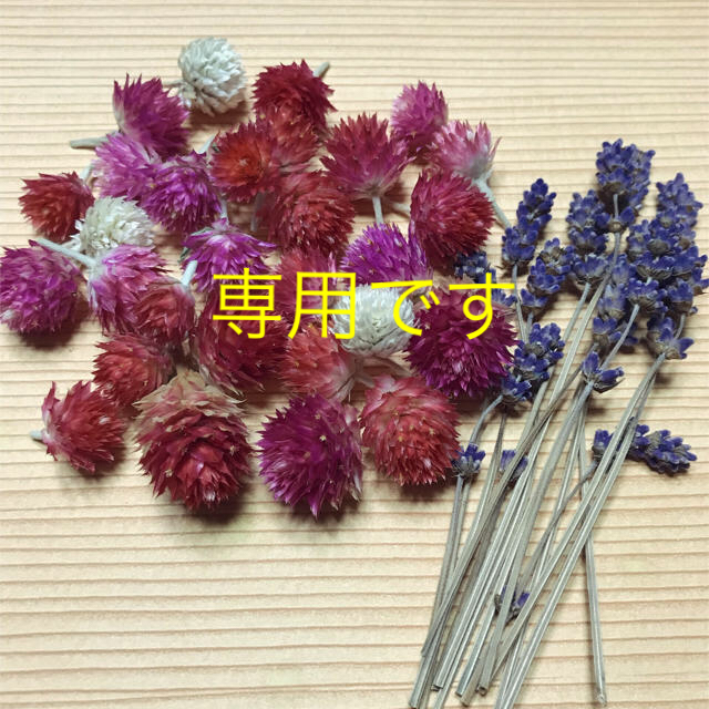 千日紅・ラベンダー ドライフラワー ハンドメイドのフラワー/ガーデン(ドライフラワー)の商品写真