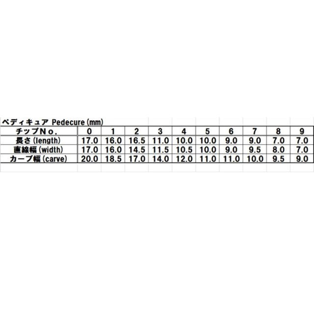 パレットネイル ネイルチップ ペディキュア    フットネイル ハンドメイドのアクセサリー(ネイルチップ)の商品写真