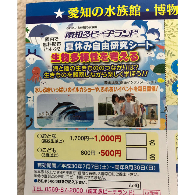 南知多ビーチランド、リトルワールド、日本モンキーパーク  割引チケット チケットの優待券/割引券(その他)の商品写真