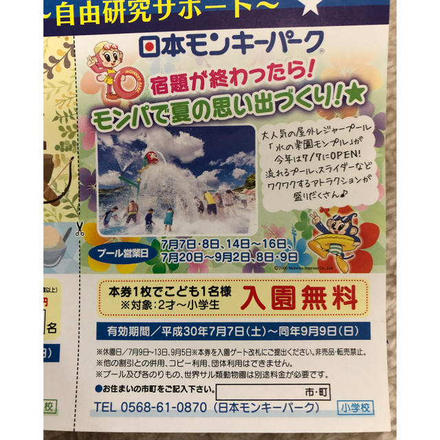 南知多ビーチランド、リトルワールド、日本モンキーパーク  割引チケット チケットの優待券/割引券(その他)の商品写真