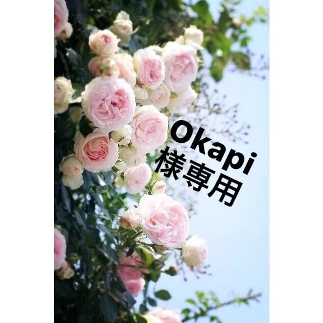 COACH - okapiバッグ