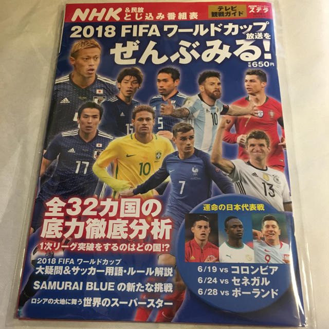 FIFAワールドカップ2018ロシア ガイドブック スポーツ/アウトドアのサッカー/フットサル(記念品/関連グッズ)の商品写真