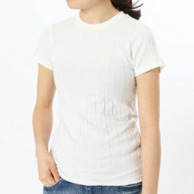 IENA(イエナ)のYoung&Olsen 白T リブ レディースのトップス(Tシャツ(半袖/袖なし))の商品写真