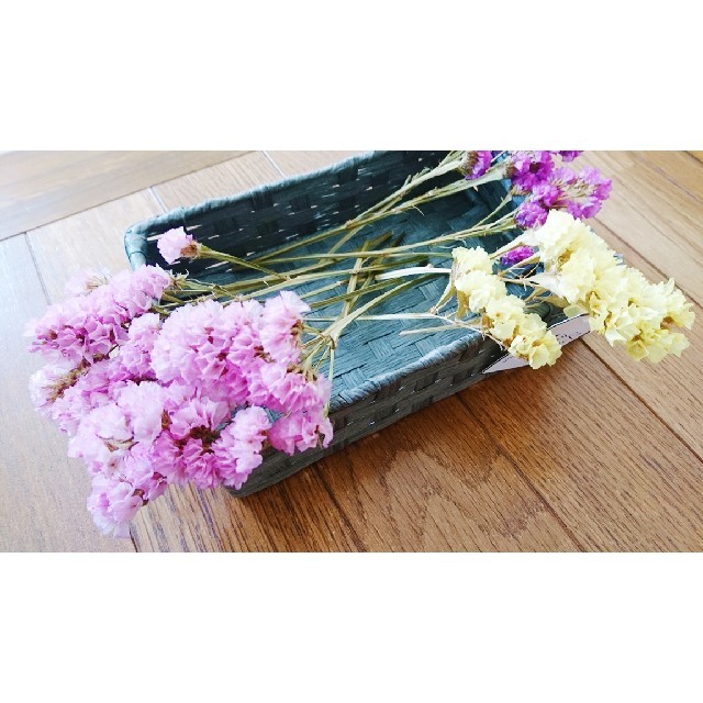 【ラスト1セット】スターチス3色セット(ピンク/紫/黄) ハンドメイドのフラワー/ガーデン(ドライフラワー)の商品写真