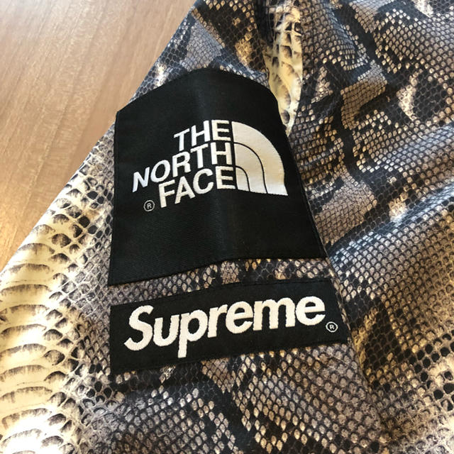 Supreme The North Face Snakeskin