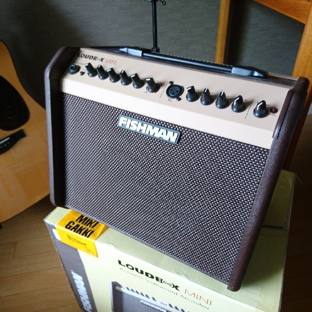 FISHMAN Loudbox mini  60W 楽器のレコーディング/PA機器(パワーアンプ)の商品写真