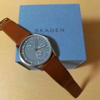 スカーゲン(SKAGEN)のSKAGEN アナログ腕時計(腕時計(アナログ))