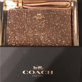 コーチ(COACH)のCOACH F22705 コーチ ポーチ グリッダー 星(ポーチ)