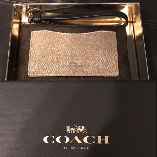 コーチ(COACH)のCOACH F22713 ポーチ コーチ シグネチャー(ポーチ)