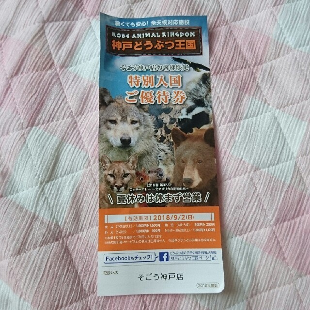 神戸どうぶつ王国 優待券 チケットの施設利用券(動物園)の商品写真