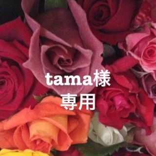 tama様専用オーダーメイド☆(オーダーメイド)