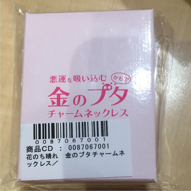 金のブタ 花のち晴れ 未開封 即日配送 エンタメ/ホビーのタレントグッズ(アイドルグッズ)の商品写真